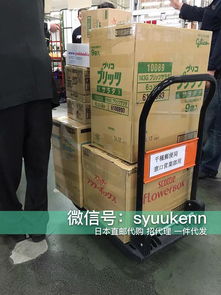 日本正品直郵與現(xiàn)貨 開(kāi)啟國(guó)內(nèi)貿(mào)易代理新機(jī)遇